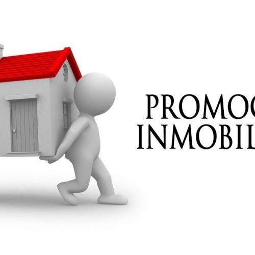 Promoción inmobiliaria